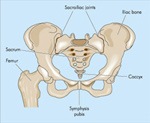 Sacroiliac Joint Injections